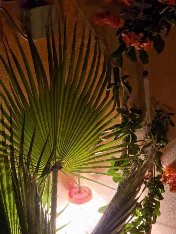 Maison Noe , Residence Al Quaria , Ab40 Marrakesh Exterior photo